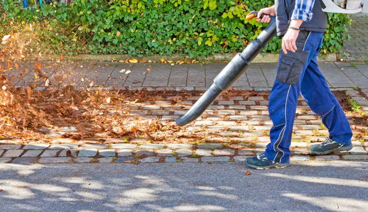 Strenge Grundregeln für Laubbläser